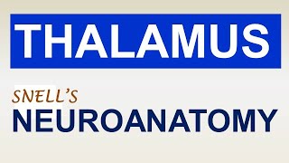 Chp12 THALAMUS  NeuroAnatomy  Snells NeuroAnatomy  Dr Asif Lectures [upl. by Aiset714]