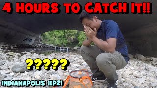 It Took me FOUR HOURS To CATCH THIS FISH IN Series EP2 [upl. by Annekim]