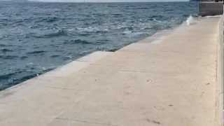 Sea Organ Zadar Croatia [upl. by Aria]