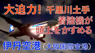 【大迫力！ 着陸機が頭上をかすめる】 伊丹空港 千里川土手に 飛行機の離発着を見てきた  Osaka International Airport  Itami Airport [upl. by Vallie]