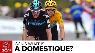 What Is A Domestique How Do Teams Use Their Riders [upl. by Eyak]