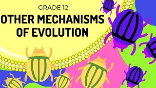 Grade 12 Life Sciences Meiosis Part 1 [upl. by Frendel]