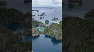 A day exploring Jellyfish Lake  Heart Reef  Remote Indonesia  Sailing Life [upl. by Meisel]