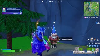 Fortnite Dove Trovare Tutti Gli Gnomi Nascosti [upl. by Hui]