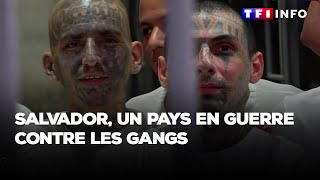 GRAND REPORTAGE  Salvador  un pays en guerre contre les gangs [upl. by Bonilla]