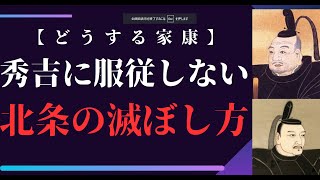 【どうする家康】家康に罠にはめられ、小田原征伐を招いた北条 [upl. by Adnorhs]