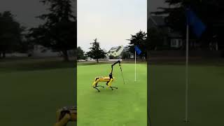 The Future of Golf Watch a Robot Swing in Action [upl. by Geehan]