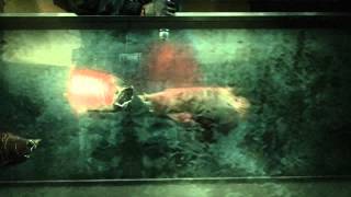 Resident Evil Revelations Episode 5 Steam Puzzle solution [upl. by Onihc915]