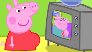 PeppaWutzGeschichten 🍼 Peppa bekommt ein Baby 🌈 Videos für Kinder [upl. by Tillfourd]