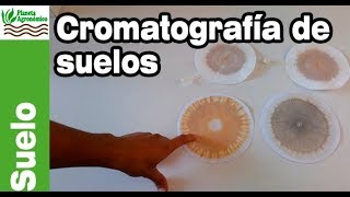 TALLER de ELABORACIÓN de 👨🏻‍🔬👩🏻‍🔬 CROMATOGRAFÍA de 🌱 SUELO de Pfeiffer [upl. by Sholeen]