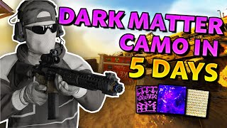 I unlocked the DARK MATTER CAMO on Black Ops 6 in 5 DAYS [upl. by Enimsay641]