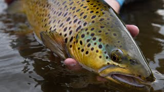 Out of the Depths  Understanding the Upper Grand Tailwater w Ian Troup [upl. by Lejeune]