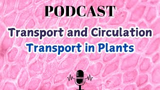 Transport and Circulation Transport in Plants [upl. by Niamor665]