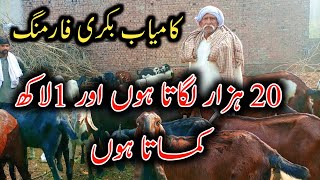 Successful Goat Farmer Of Lahore City  Goat Farming Business In Pakistan Bkra Farming [upl. by Eixor552]