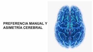 Lateralización del lenguaje Clase de neurología Lenguaje y cerebro [upl. by Pritchard]