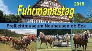 Fuhrmannstag 2018 Neuhausen ob Eck [upl. by Boiney]