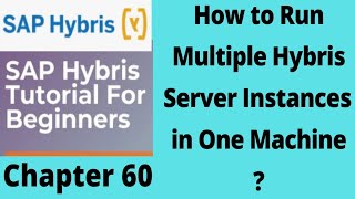 how to run multiple hybris instance in one machine  Run multiple Servers In Hybris  Part 60 [upl. by Spaulding]