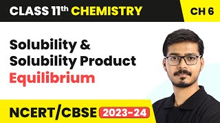 Solubility amp Solubility Product  Equilibrium  Class 11 Chemistry Chapter 6  CBSE [upl. by Hesler]