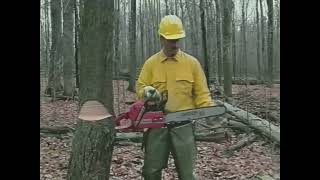 2000s Instructional Video Open Face Notches of Chainsaws 4K 60FPS [upl. by Greenstein]