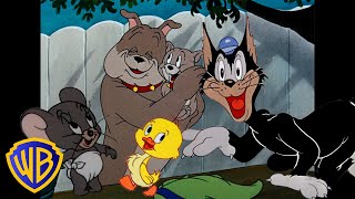 Tom amp Jerry  Best Side Characters 🐣🐶  Classic Cartoon Compilation  wbkids​ [upl. by Godrich]