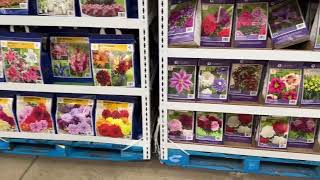 What Flowers Costco is Selling Today [upl. by Portugal]