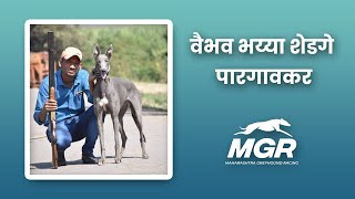 Greyhound exercises  ग्रेहाऊंड श्वानाचा व्यायाम [upl. by Nac866]