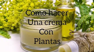 Como hacer crema con plantas🌿 [upl. by Steinway656]