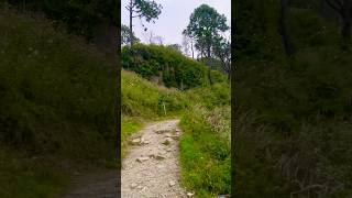 Sit and relax gilbert trail trekking travel adventure spot hiddengem  kasauli himachal [upl. by Nnayllehs]