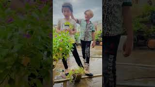 Tarap Tarap k es dil se  trending viral shorts funny [upl. by Jorie]