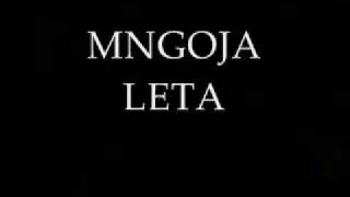 MNOGAJA LETA [upl. by Bettina]