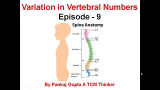 Sacralization and Lumbarization of the Spine Know Your Spine Episode  9 [upl. by Darcie]