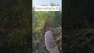 Grass cutting Ep 02 [upl. by Kikelia62]