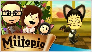 El gato más guay  11  Miitopia en español [upl. by Ailegra]