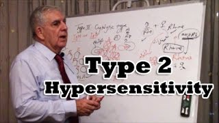 Type 2 Hypersensitivity [upl. by Teressa541]