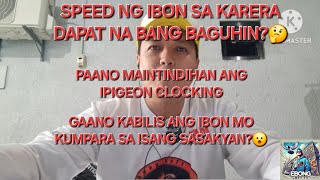 Cut Off Speed Baguhin Na Ipigeon Clocking Explained Pigeon Kinumpara sa Sasakyan [upl. by Aala151]