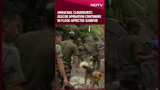 Himachal Cloudburst Rescue Operation Continues In Flood Affected Rampur [upl. by Yolande79]