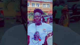 NPP CAMPAIGN SONG [upl. by Askari]