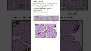 Histology of Skeletal Cardiac and Smooth Muscle An Overview [upl. by Poole]