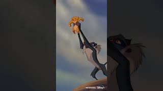 Circle Of Life From quotThe Lion Kingquot Disney100 Shorts [upl. by Huber]