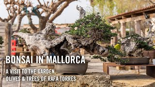 Bonsai in Mallorca Spain [upl. by Given557]