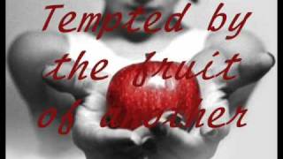 Tempted By Squeeze With Lyrics [upl. by Henka]