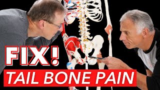 2 Self Treatments For Tail Bone Pain Coccydynia [upl. by Nodnahs632]