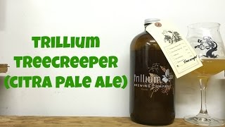 Trillium Treecreeper Citra Pale Ale Review  Ep 643 [upl. by Aivin]