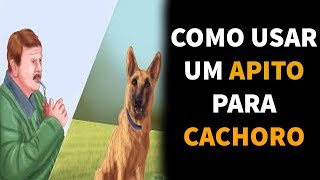 Como Usar um Apito Para Cachorros  COMO FUNCIONA O APITO CANINO [upl. by Anilos48]