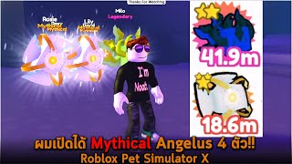 ผมเปิดได้ Mythical Angelus 4 ตัว Roblox Pet Simulator X [upl. by Egerton787]