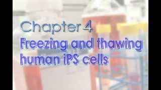 Chapter 4 Freezing and thawing human iPS cells [upl. by Rodrich]