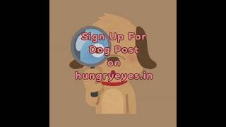 Natural Dog Food Blogs hungryeyesfreshdogfood [upl. by Nosiddam]