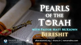 Pearls Of The Torah Bereshit [upl. by Einnep]