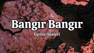 Gülşen  Bangır Bangır LyricsSözleri [upl. by Engedi]