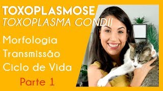 Toxoplasmose toxoplasma gondii  DICAS PARA SUA PROVA PRÁTICA  Parte 1  PARASITOLOGIA 4 [upl. by Zul366]